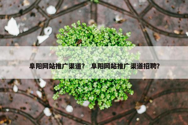 阜阳网站推广渠道？ 阜阳网站推广渠道招聘？