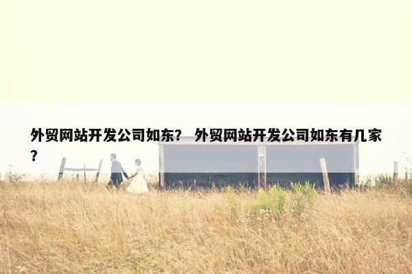 外贸网站开发公司如东？ 外贸网站开发公司如东有几家？
