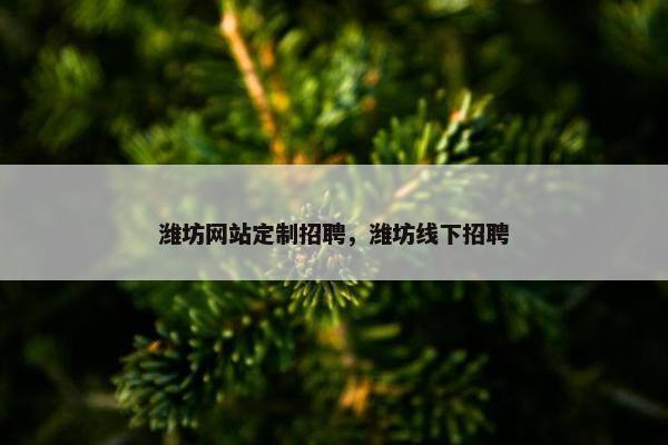 潍坊网站定制招聘，潍坊线下招聘