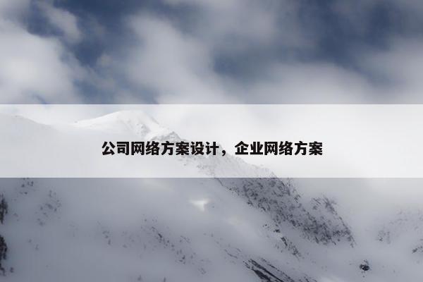 公司网络方案设计，企业网络方案