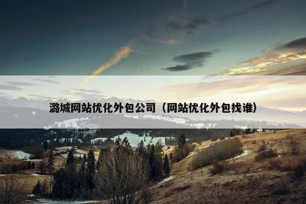 潞城网站优化外包公司（网站优化外包找谁）