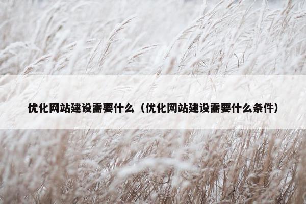 优化网站建设需要什么（优化网站建设需要什么条件）