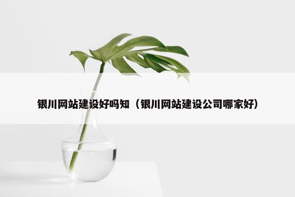 银川网站建设好吗知（银川网站建设公司哪家好）