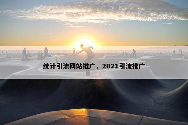 统计引流网站推广，2021引流推广
