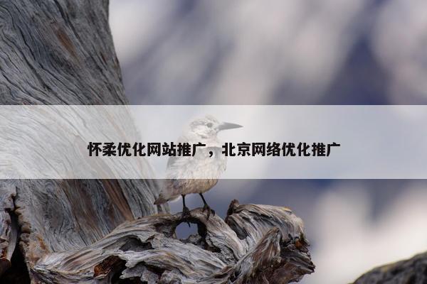 怀柔优化网站推广，北京网络优化推广