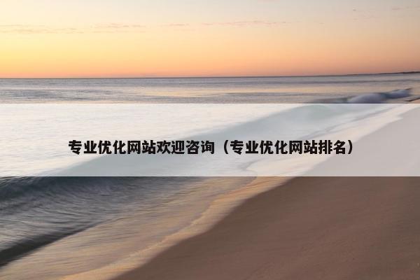 专业优化网站欢迎咨询（专业优化网站排名）