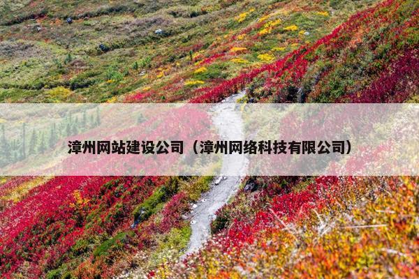 漳州网站建设公司（漳州网络科技有限公司）