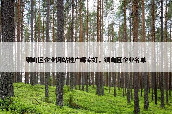 铜山区企业网站推广哪家好，铜山区企业名单