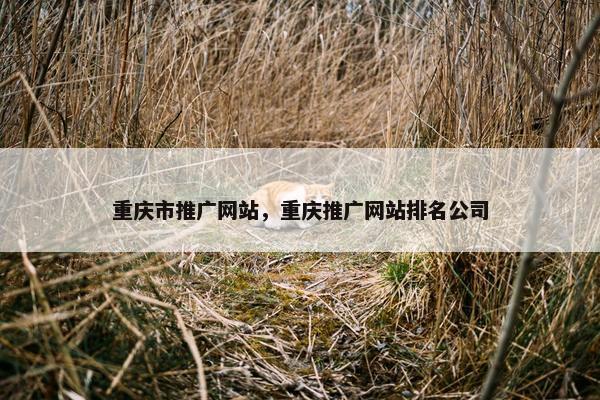 重庆市推广网站，重庆推广网站排名公司