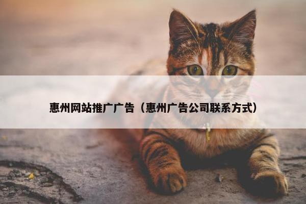 惠州网站推广广告（惠州广告公司联系方式）