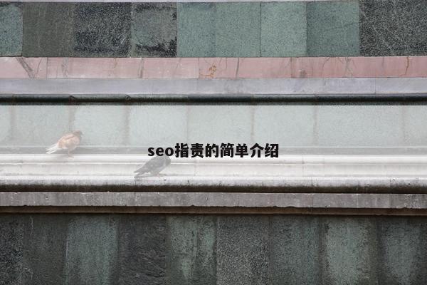 seo指责的简单介绍