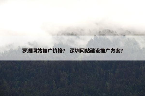 罗湖网站推广价格？ 深圳网站建设推广方案？