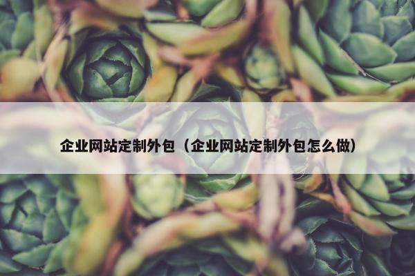 企业网站定制外包（企业网站定制外包怎么做）