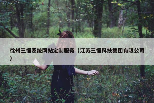 徐州三恒系统网站定制服务（江苏三恒科技集团有限公司）