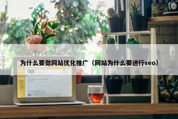 为什么要做网站优化推广（网站为什么要进行seo）