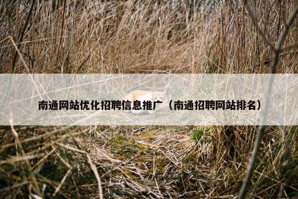 南通网站优化招聘信息推广（南通招聘网站排名）