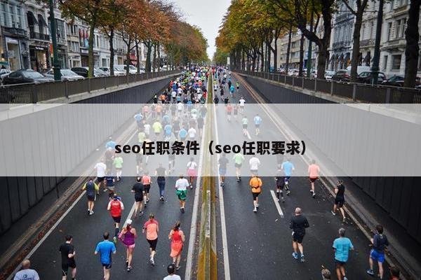 seo任职条件（seo任职要求）