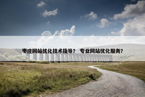 枣庄网站优化技术指导？ 专业网站优化服务？