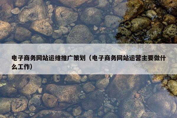 电子商务网站运维推广策划（电子商务网站运营主要做什么工作）