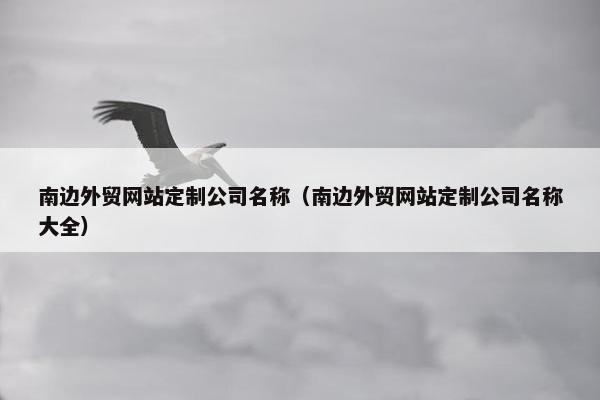 南边外贸网站定制公司名称（南边外贸网站定制公司名称大全）