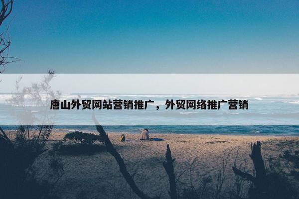 唐山外贸网站营销推广，外贸网络推广营销