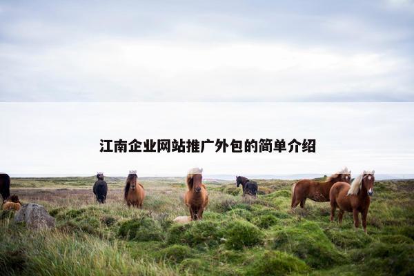 江南企业网站推广外包的简单介绍