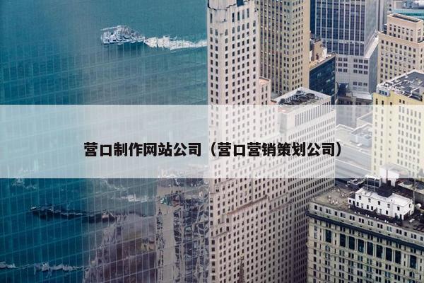 营口制作网站公司（营口营销策划公司）