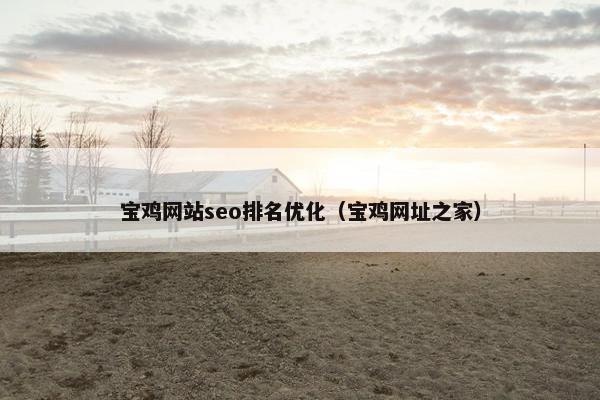 宝鸡网站seo排名优化（宝鸡网址之家）