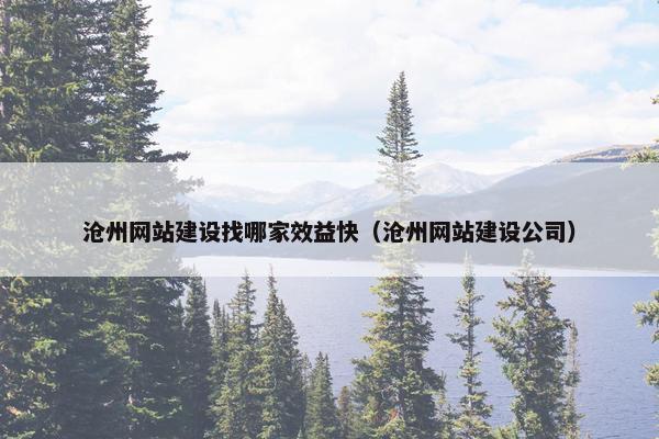 沧州网站建设找哪家效益快（沧州网站建设公司）
