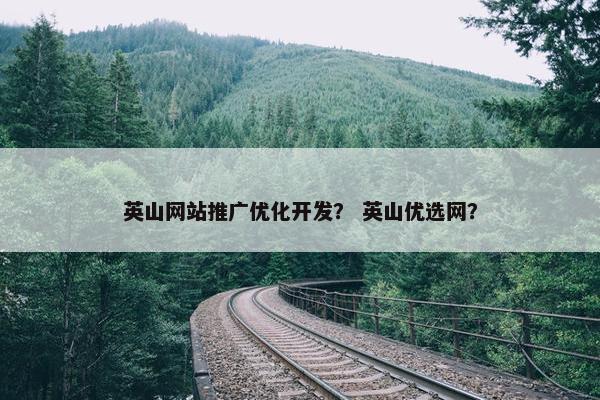 英山网站推广优化开发？ 英山优选网？