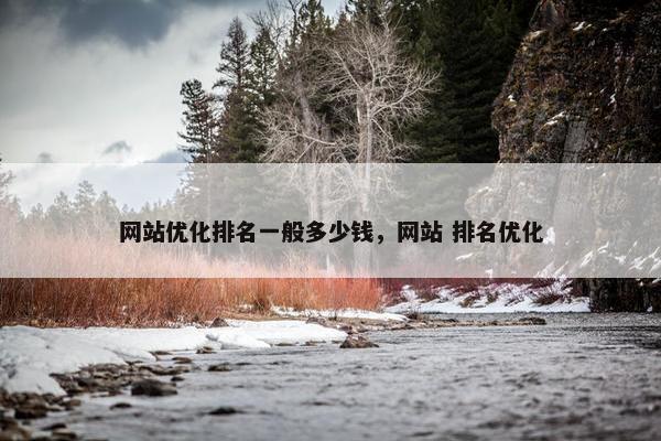 网站优化排名一般多少钱，网站 排名优化