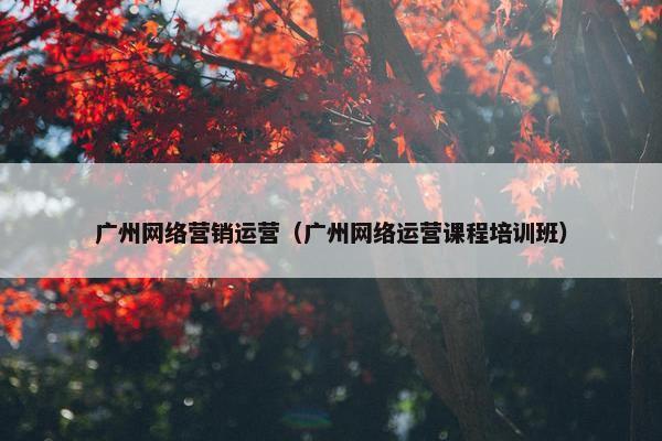 广州网络营销运营（广州网络运营课程培训班）