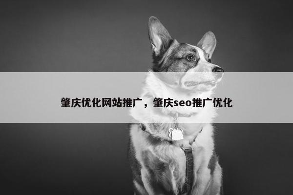 肇庆优化网站推广，肇庆seo推广优化