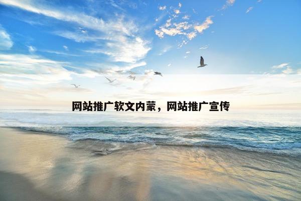网站推广软文内蒙，网站推广宣传