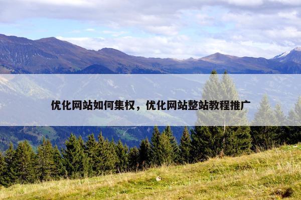 优化网站如何集权，优化网站整站教程推广