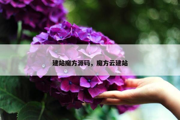 建站魔方源码，魔方云建站