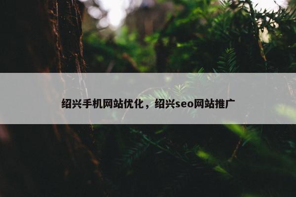 绍兴手机网站优化，绍兴seo网站推广