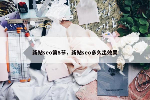 新站seo第8节，新站seo多久出效果