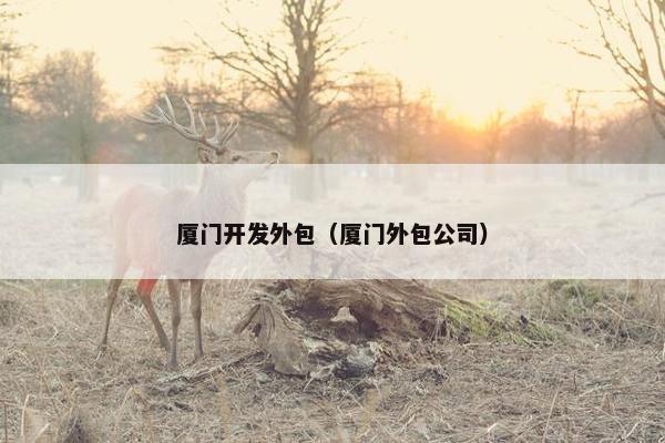 厦门开发外包（厦门外包公司）