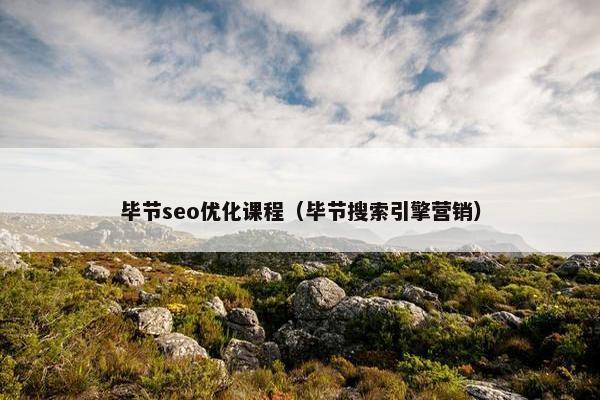毕节seo优化课程（毕节搜索引擎营销）