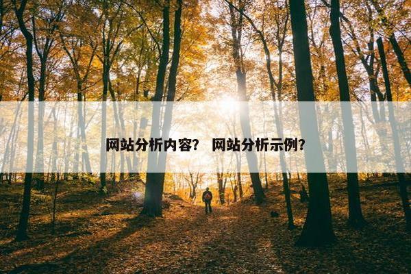 网站分析内容？ 网站分析示例？