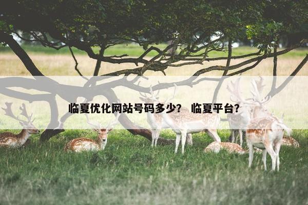 临夏优化网站号码多少？ 临夏平台？
