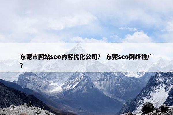 东莞市网站seo内容优化公司？ 东莞seo网络推广？