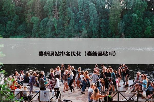 奉新网站排名优化（奉新县贴吧）