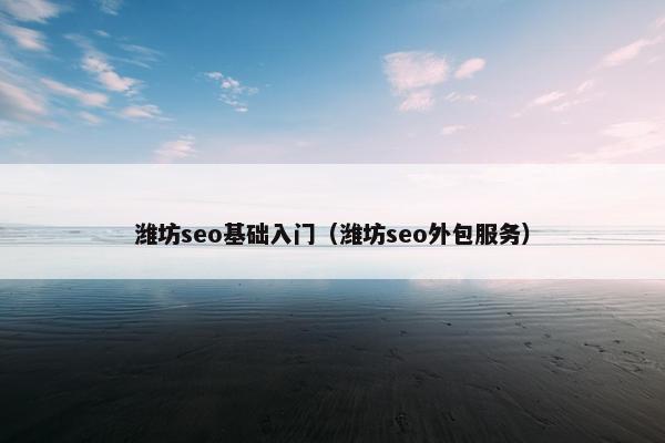 潍坊seo基础入门（潍坊seo外包服务）