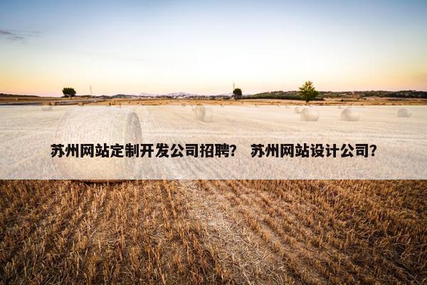苏州网站定制开发公司招聘？ 苏州网站设计公司？
