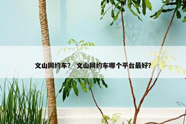 文山网约车？ 文山网约车哪个平台最好？