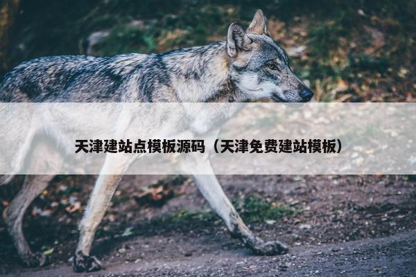 天津建站点模板源码（天津免费建站模板）