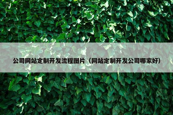 公司网站定制开发流程图片（网站定制开发公司哪家好）