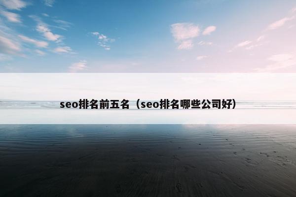 seo排名前五名（seo排名哪些公司好）